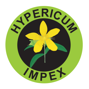 Hypericum Plant